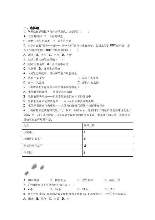 北京市通州区2019年七上生物期末模拟检测试题之三