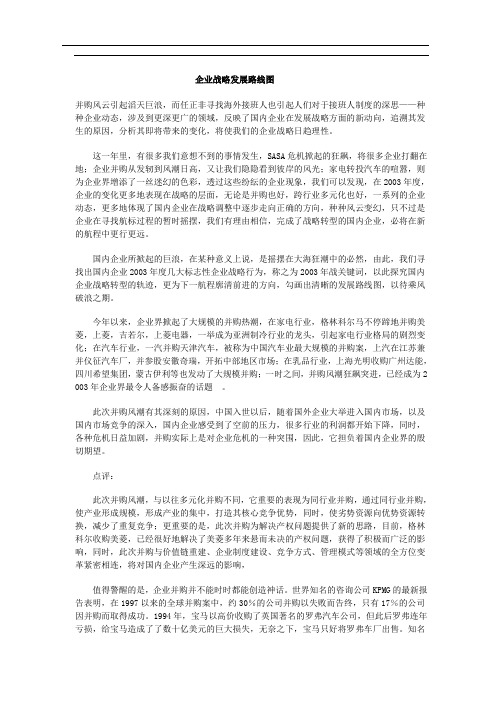 【发展战略】企业战略发展路线图(doc5)(1)