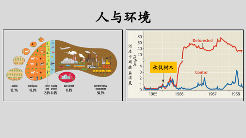 高三生物一轮复习课件 人与环境