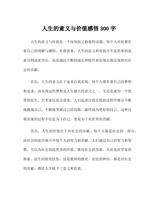 人生的意义与价值感悟300字