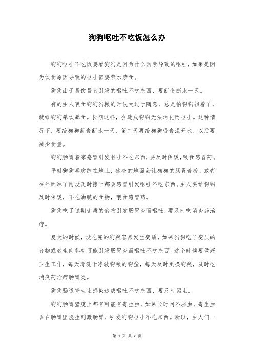 狗狗呕吐不吃饭怎么办