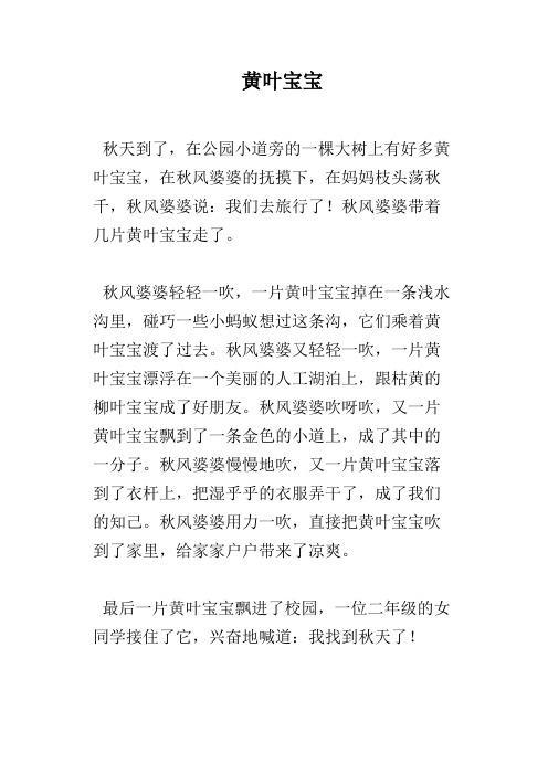 黄叶宝宝