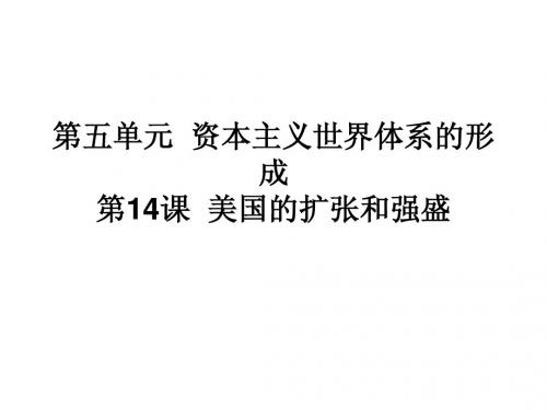 高中历史必修课第四分册备课笔记14课  美国的扩张和强盛