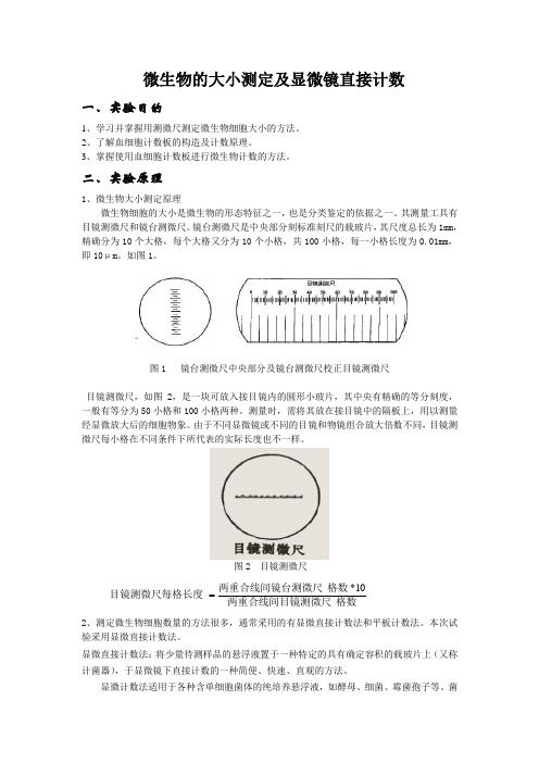 酵母菌计数