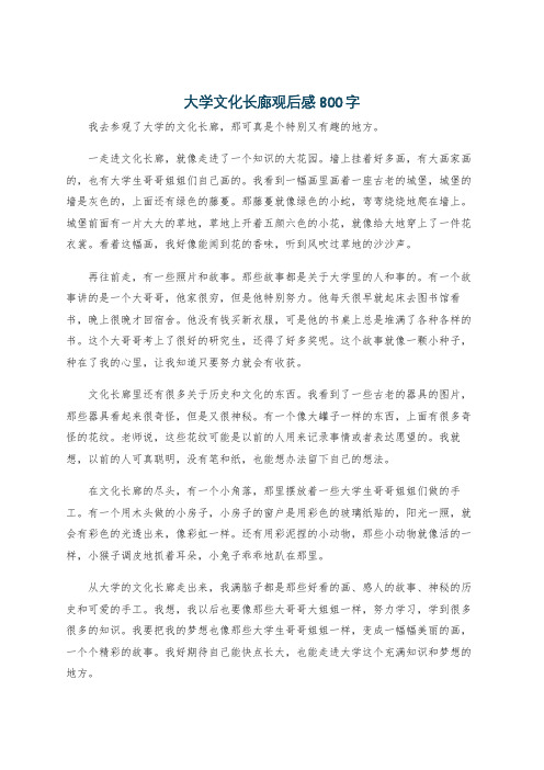 大学文化长廊观后感800字