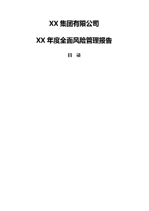 公司全面风险管理报告