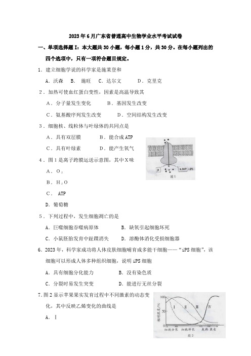 2023年广东学业水平测试生物试题含答案