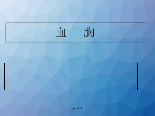 血胸 ppt课件