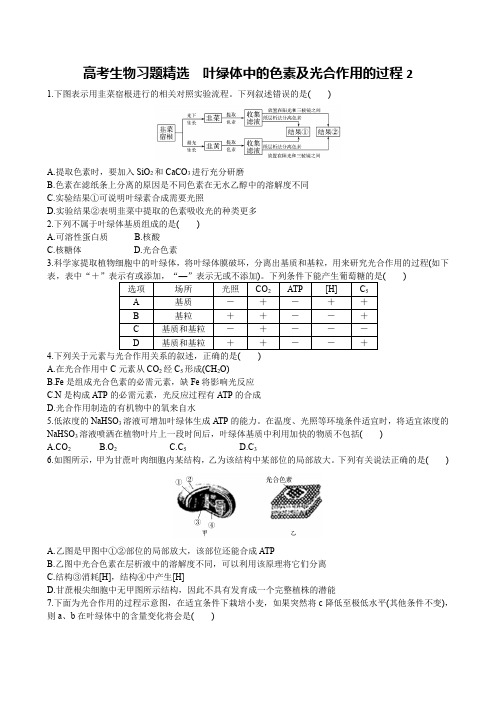 高考生物习题精选 叶绿体中的色素及光合作用的过程2