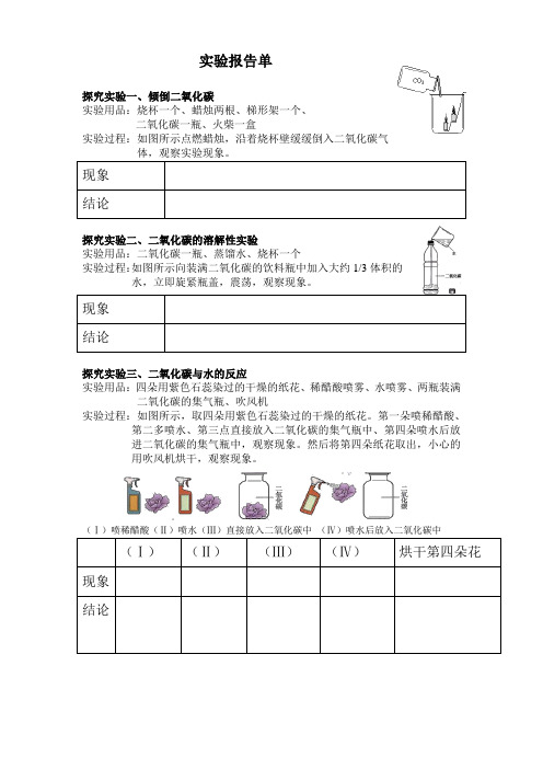 二氧化碳性质实验报告单