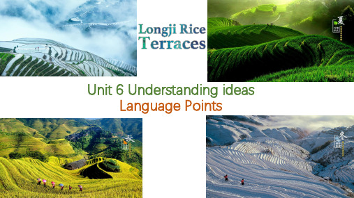 UNIT6UNDERSTANDINGIDEASLANGUAGEPOINTS课件高一英语外研版必修第一