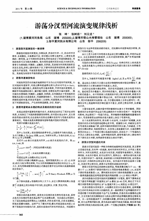 游荡分汊型河流演变规律浅析