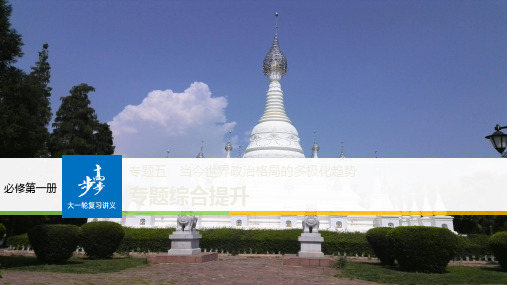 2019版高考历史《大一轮复习讲义》人民版全国通用一轮复习课件:专题五 当今世界政治格局的多极化趋势 专题