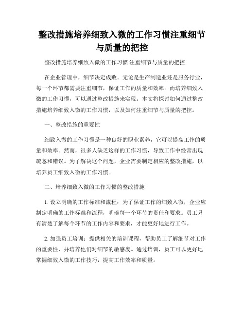 整改措施培养细致入微的工作习惯注重细节与质量的把控