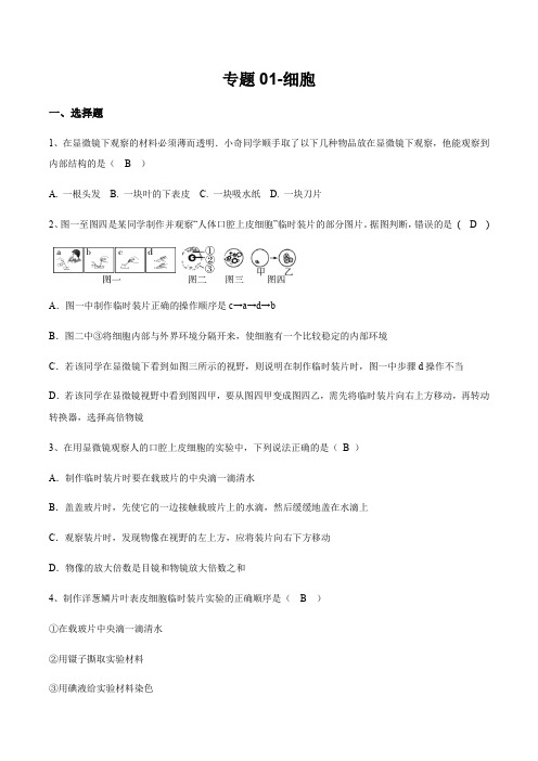 2020浙版中考科学(生物)专题01-细胞