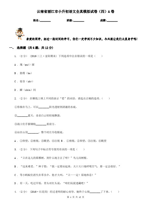 云南省丽江市小升初语文全真模拟试卷(四)A卷