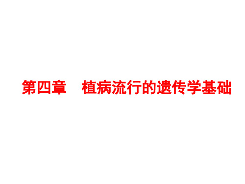 4 第四章 植病流行的遗传学基础