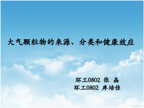 大气颗粒物的来源、分类和健康效应