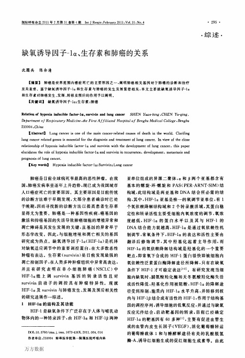 缺氧诱导因子-1α、生存素和肺癌的关系