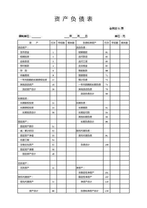 民办非企业单位年度财务会计报告