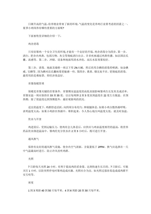 夏季小鸡饲养要点有哪些?