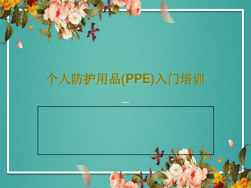 个人防护用品(PPE)入门培训87页PPT