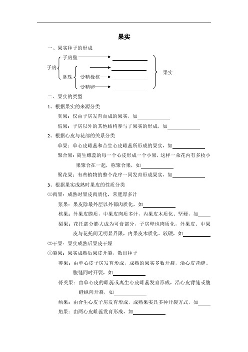 果实、叶的解剖结构(材料)