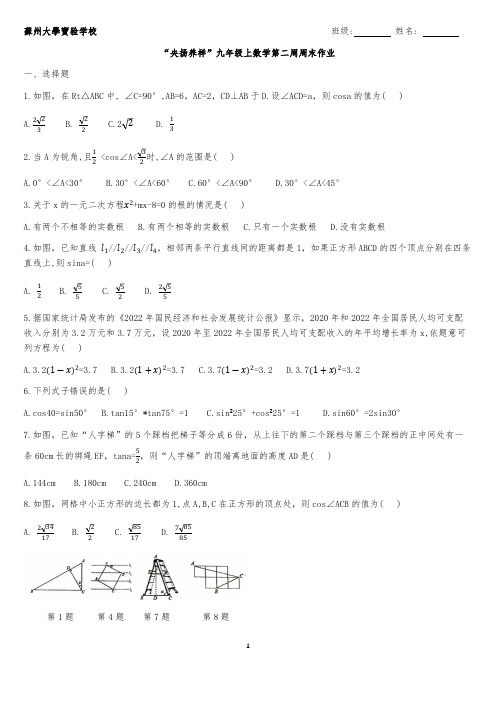 江苏省苏州市苏州大学实验学校2024-2025学年度九年级上学期数学第二周周末作业(无答案)