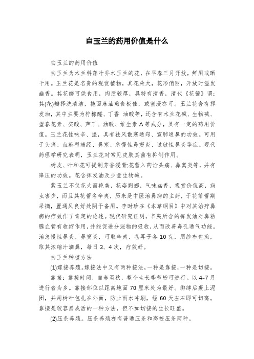 白玉兰的药用价值是什么