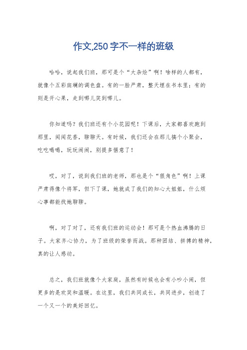 作文,250字不一样的班级