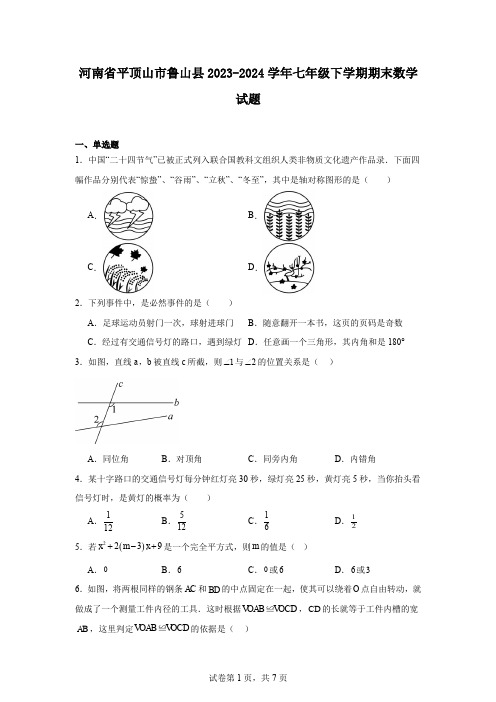 河南省平顶山市鲁山县2023-2024学年七年级下学期期末数学试题