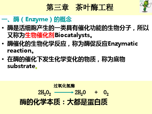 茶叶生物技术PPT课件(共7单元)03第三章茶叶酶工程