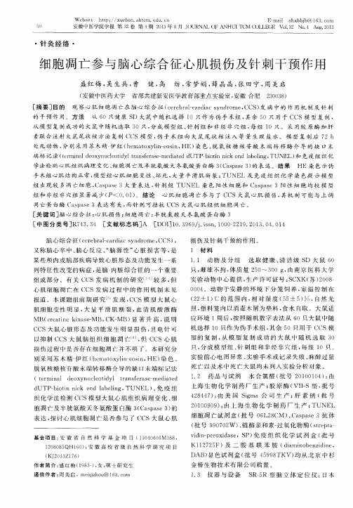 细胞凋亡参与脑心综合征心肌损伤及针刺干预作用
