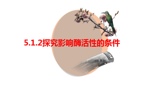 高三生物一轮复习课件：探究影响酶活性的条件