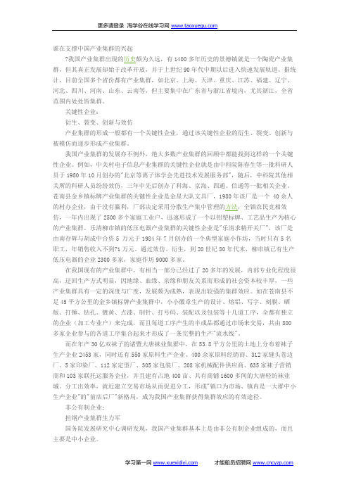 产业集群：我国经济发展的一种战略方式