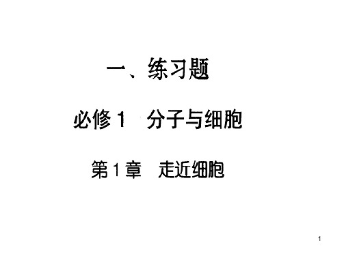 云南省普通高中学业水平标准与考试说明生物练习题及答案(课堂PPT)