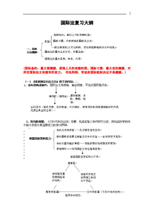 国际法复习大纲