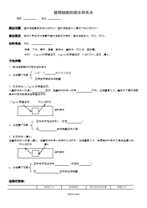 植物细胞的吸水和失水实验实验报告