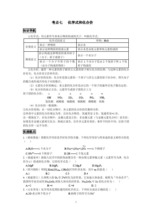 考点七   化学式和化合价