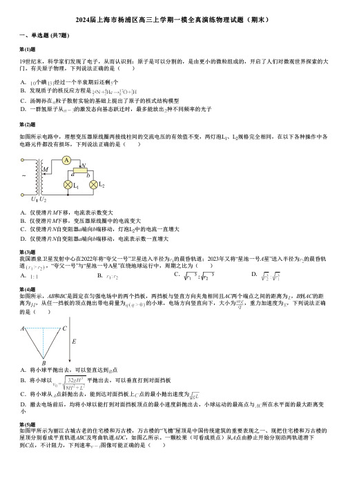 2024届上海市杨浦区高三上学期一模全真演练物理试题(期末)