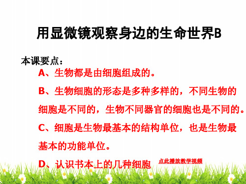 (新编)最新科教版小学六年级科学下册《用显微镜观察身边的生命世界二》精品课件