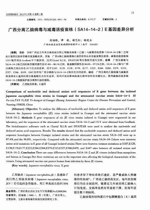 广西分离乙脑病毒与减毒活疫苗株(SA14-14-2)E基因差异分析