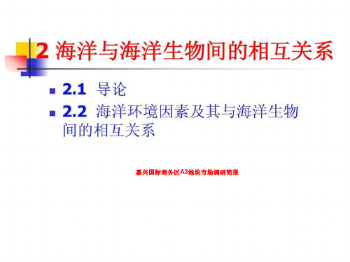 嘉兴国际商务区A3地块市场调研简报