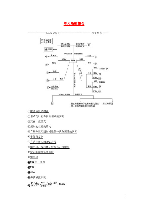 高三生物一轮复习 第6单元 单元高效整合讲义 新人教版必修2