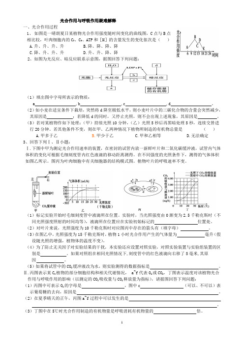 光合作用与呼吸作用疑难解析