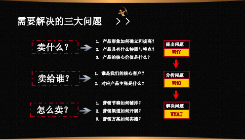 面膜营销策划方案