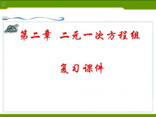 《二元一次方程组》复习课件