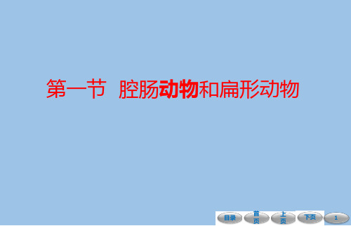 5.1.1 腔肠动物和扁形动物-课件-2021-2022学年人教版八年级生物上册