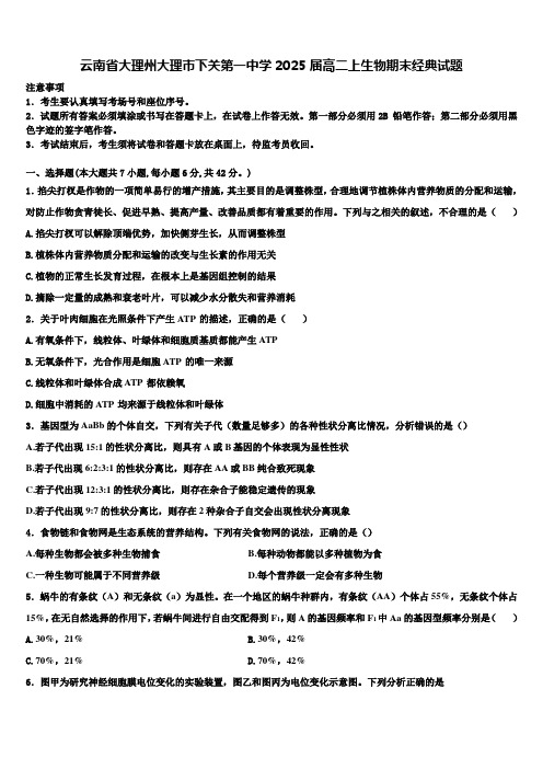 云南省大理州大理市下关第一中学2025届高二上生物期末经典试题含解析