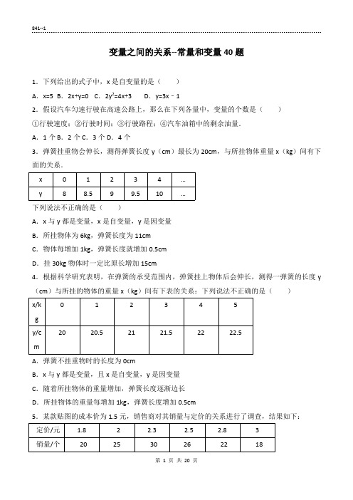 (841)变量之变量和常量专项练习40题(有答案)20页 ok